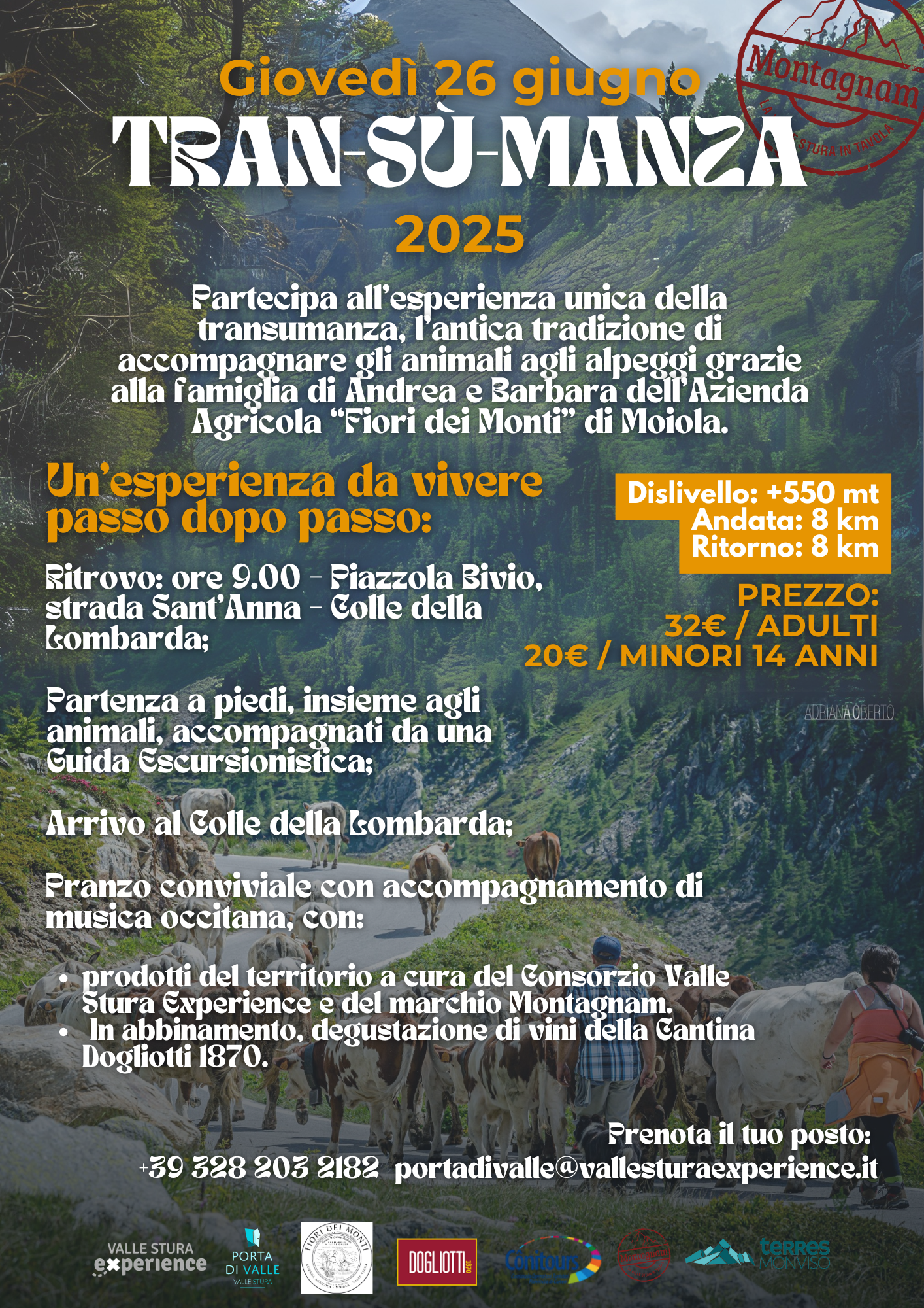 transumanza valle stura