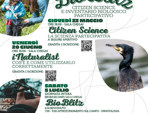Al via “BioBlitz 2025” a Dronero: un’immersione nella Citizen Science e nella biodiversità