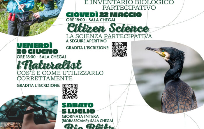 BioBLitz 2025