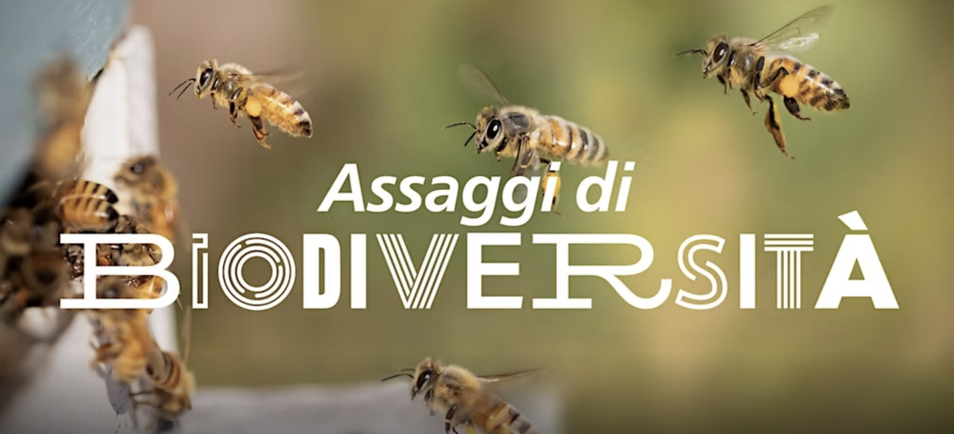 Assaggi di Biodiversità - Una montagna di fiori e di mieli