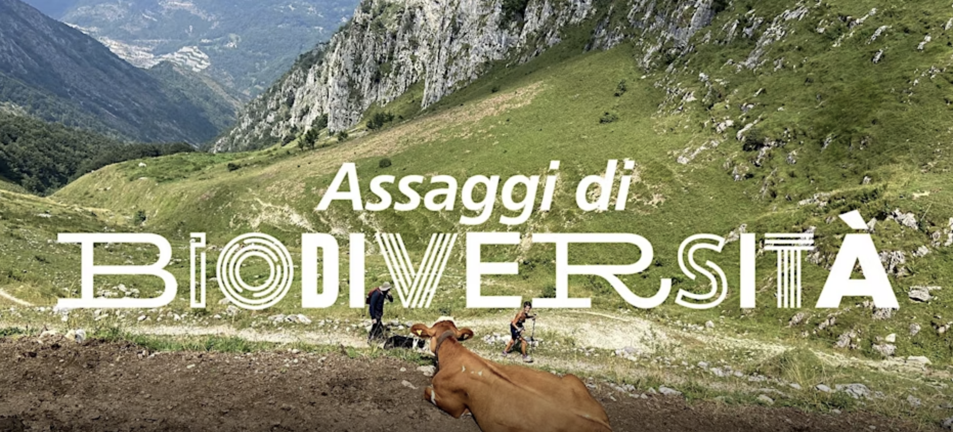 assaggi di biodiversita 2025