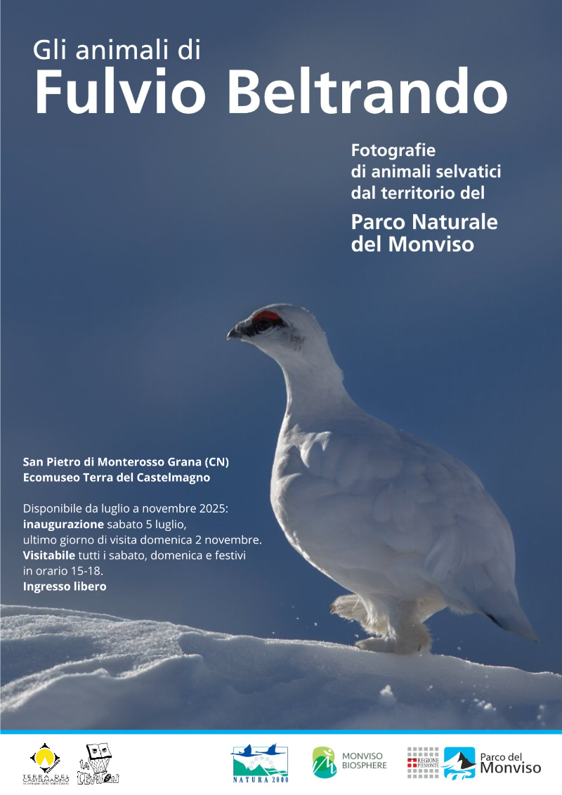 Mostra fotografica “Gli animali di Fulvio Beltrando”