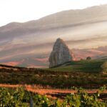 Strada dei vini del Vulture che si snoda su un vulcano spento in Basilicata, circondata da vigneti.