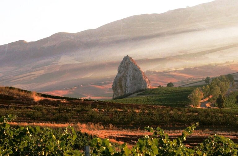 Strada dei vini del Vulture che si snoda su un vulcano spento in Basilicata, circondata da vigneti.