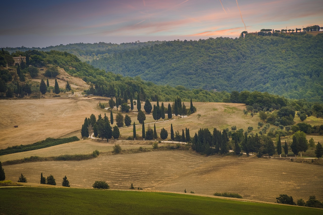 Paesaggio toscano con colline verdi e cipressi, ideale per escursioni economiche nella natura.
